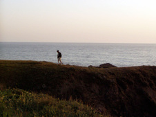 Enlarge photo 309