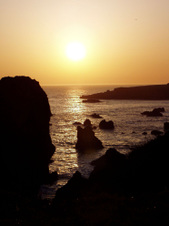 Enlarge photo 322