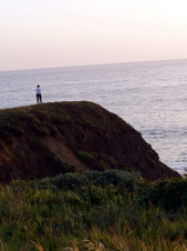 Enlarge photo 310