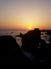 Enlarge photo 323