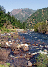 Enlarge photo 670
