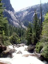 Enlarge photo 671