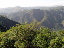 Enlarge photo 434