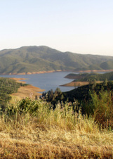 Enlarge photo 435