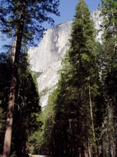 Enlarge photo 694