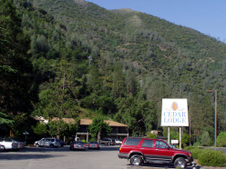 Enlarge photo 695