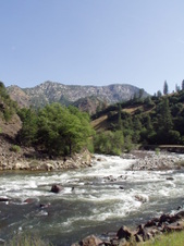 Enlarge photo 696