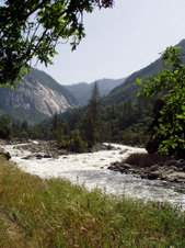Enlarge photo 697