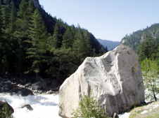 Enlarge photo 699