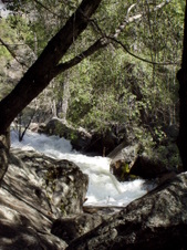 Enlarge photo 702