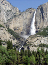 Enlarge photo 709