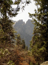 Enlarge photo 719