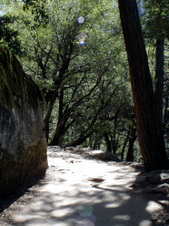 Enlarge photo 720