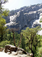 Enlarge photo 721