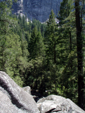 Enlarge photo 728