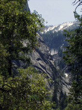 Enlarge photo 730