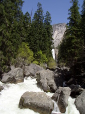 Enlarge photo 732