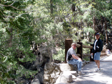 Enlarge photo 733