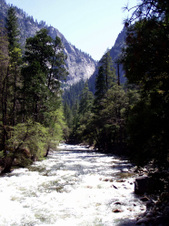 Enlarge photo 739
