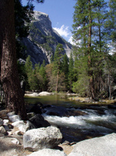 Enlarge photo 741