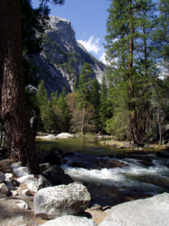 Enlarge photo 742