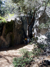 Enlarge photo 679