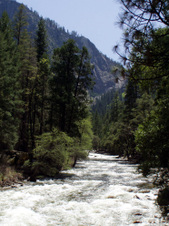 Enlarge photo 680