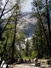 Enlarge photo 681