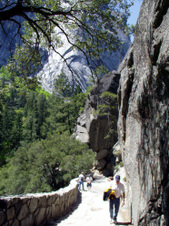 Enlarge photo 683