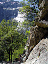Enlarge photo 684