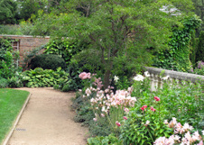 Enlarge photo 66