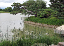 Enlarge photo 67
