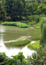 Enlarge photo 68
