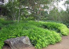 Enlarge photo 71