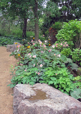 Enlarge photo 72