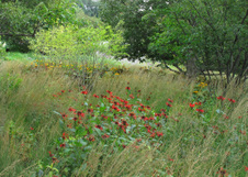 Enlarge photo 73