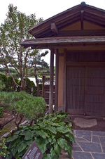 Enlarge photo 83