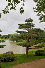 Enlarge photo 84