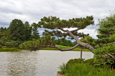 Enlarge photo 85