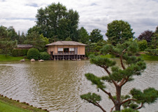 Enlarge photo 87