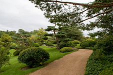 Enlarge photo 88
