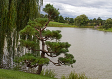 Enlarge photo 89