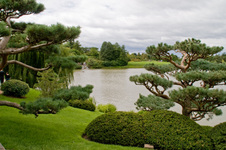 Enlarge photo 90