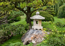 Enlarge photo 91