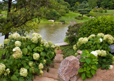 Enlarge photo 94