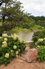 Enlarge photo 95