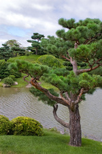 Enlarge photo 97