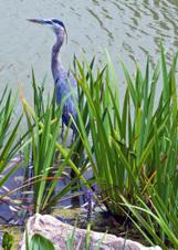 Enlarge photo 102