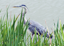 Enlarge photo 103