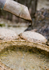 Enlarge photo 109